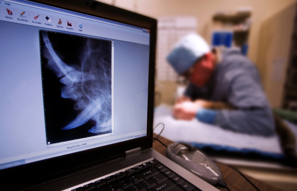 How Veterinary Diagnostics Help Detect Chronic Diseases in Pets