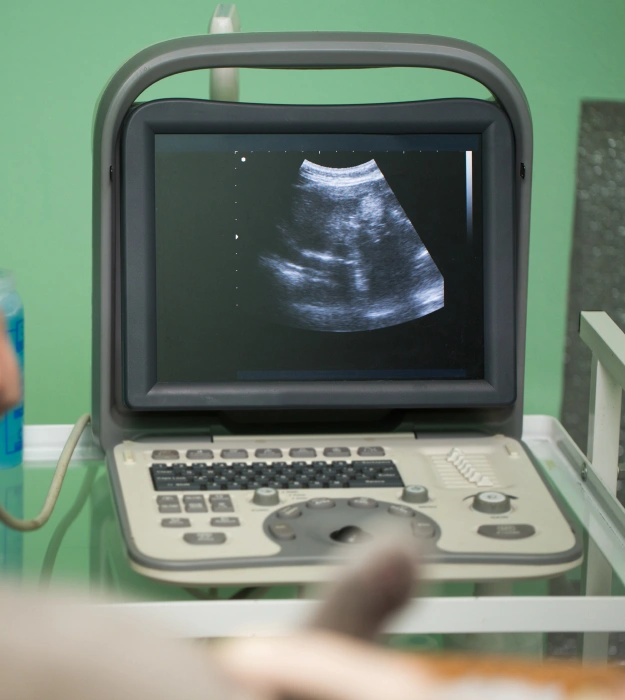 X-Rays